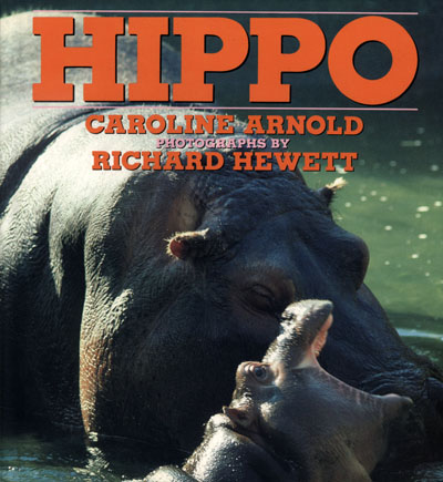Hippo