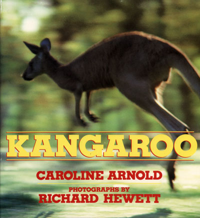 Kangaroo