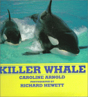 Killer Whale