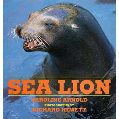 Sea Lion