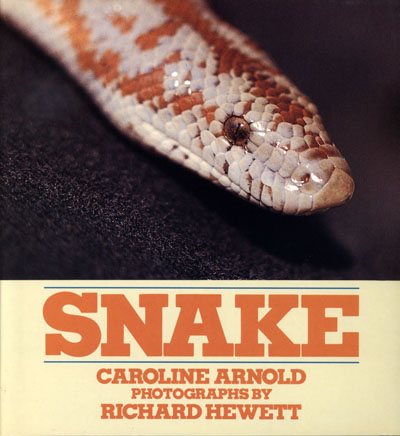 Snake