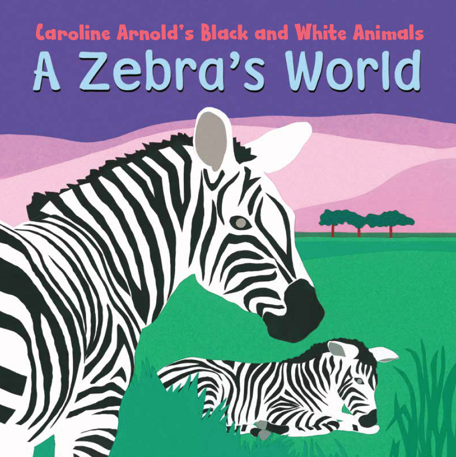 A Zebra's World